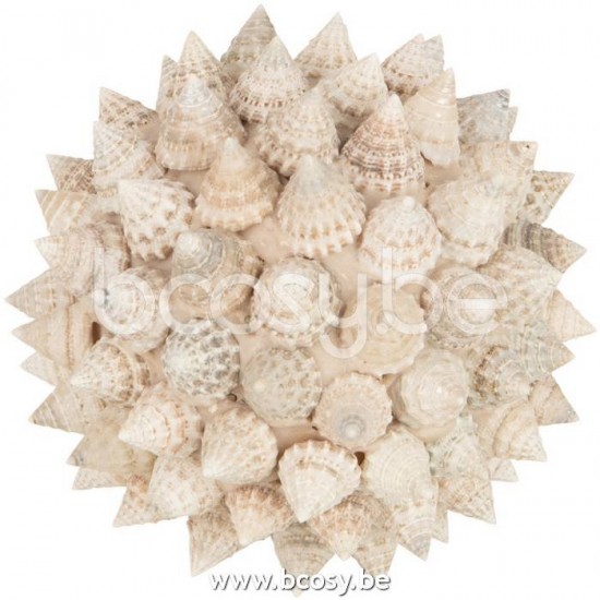 J Line Bol Schelpen Pike Wit Small L7xB7xH7 cm bollen ballen JO20997.