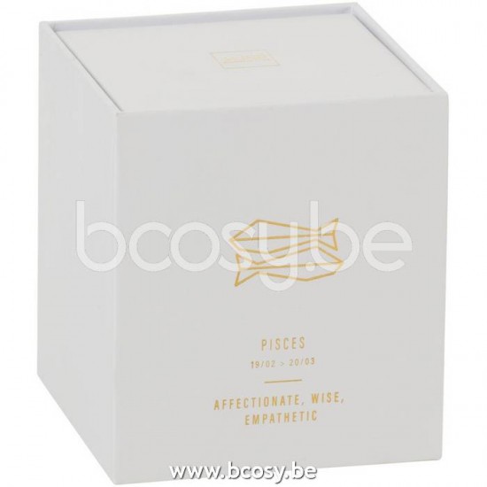 Jline 21906 Geurartikelen Senteurs Perfumed Articles Duftartikel Artículos Perfumados Articoli Profumati DECORATIE Kaarsen en Geurkaarsen