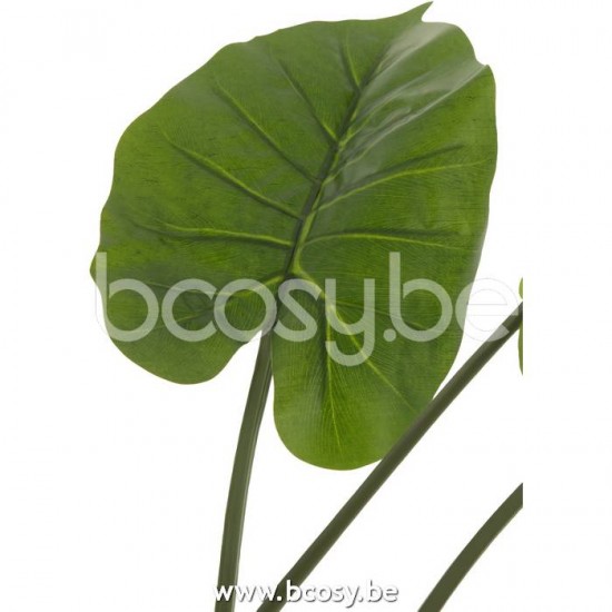 Jline 22022 Bloemen Fleurs Flowers Blumen Flores Fiori DECORATIE Kunst Bloemen Planten Bomen