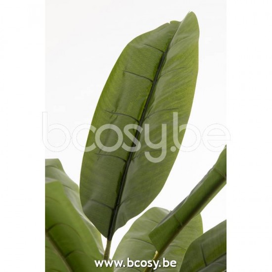 J Line Jline Jolipa 22027 Vioolbladplant Plastiek Groen