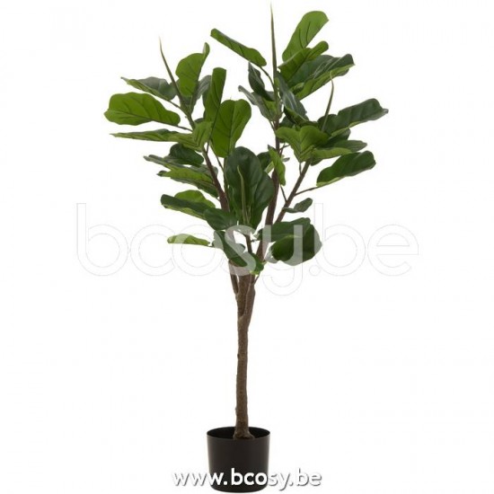 J Line 22027 Vioolbladplant Plastiek Groen L83xB70xH130 cm planten kunstplanten kunstboom kunstbomen kunstplantjes