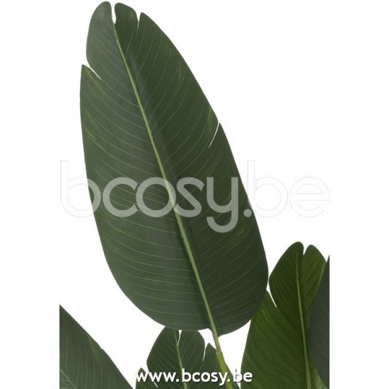 Jline 22029 Bloemen Fleurs Flowers Blumen Flores Fiori DECORATIE Kunst Bloemen Planten Bomen