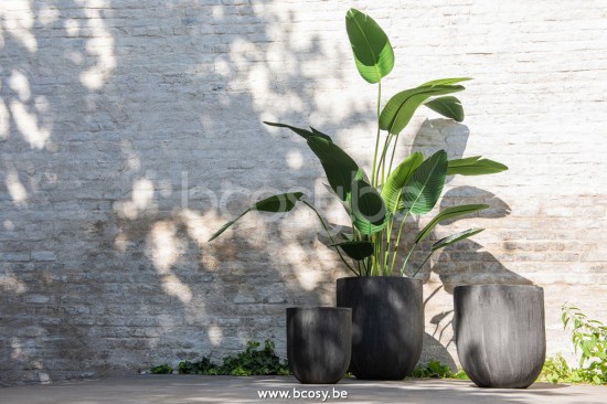 Jline Strelitzia Plastico Verde Medium