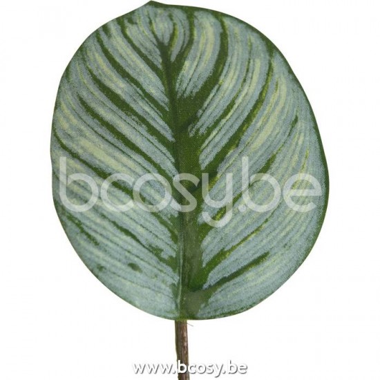 Jline 22052 Bloemen Fleurs Flowers Blumen Flores Fiori DECORATIE Kunst Bloemen Planten Bomen