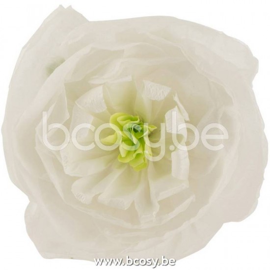 Jline 22232 Deco Objecten Objets Déco Decorative Objects Deko Objekte Objetos Deco Oggetti Di Decorazione DECORATIE Kunst Bloemen Planten Bomen