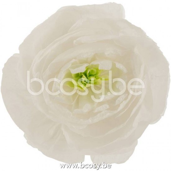 Jline 22233 Deco Objecten Objets Déco Decorative Objects Deko Objekte Objetos Deco Oggetti Di Decorazione DECORATIE Kunst Bloemen Planten Bomen