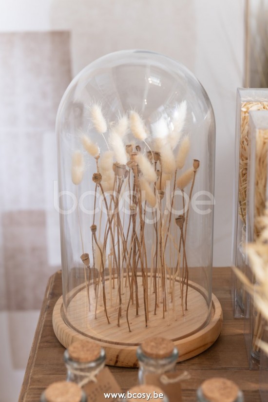 J Line Jline Glocke Getrocknete Blumen Ecru Braun Glas Holz Large glasglocken