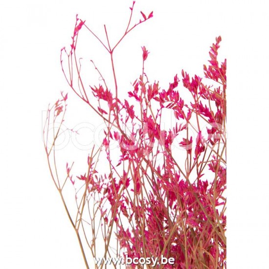 Jline 22472 Bloemen Fleurs Flowers Blumen Flores Fiori DECORATIE Kunst Bloemen Planten Bomen