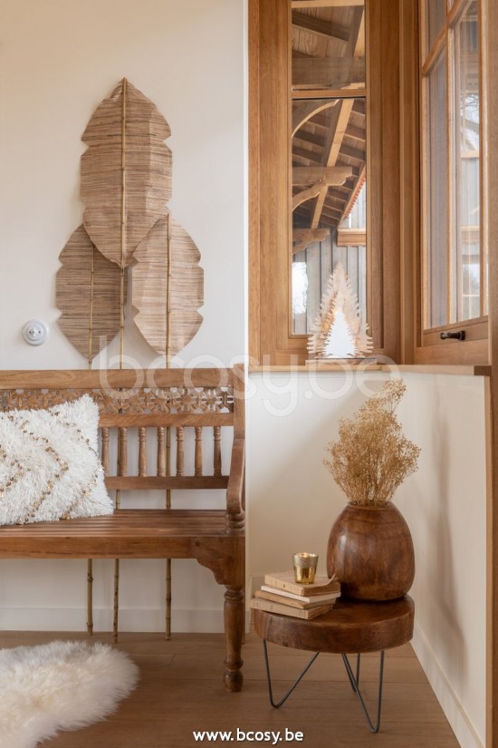 Jline Maceta Paulownia Marron Small