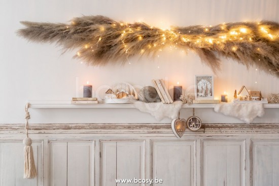 J Line Jline Ramo Erbe Delle Pampas Secche Naturale Medium Rama Pluma Hierba De Las Pampas Seca Natural Medium