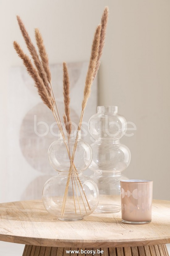 J Line Jline Bündel Lampenputzergräser Getrocknet Braun blumen