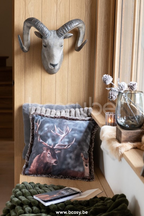 Jline Cabeza De Cabra Poli Gris