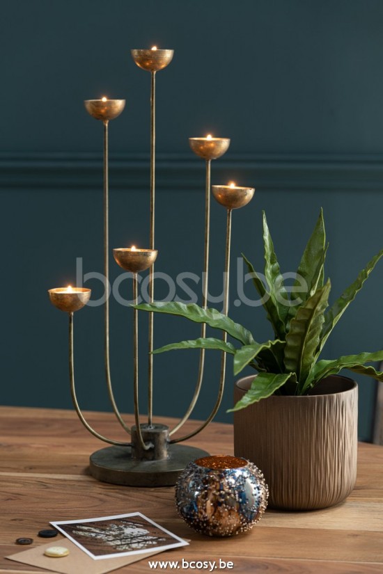 Jline Fotosforo Lise Cristal Marron Oro Small