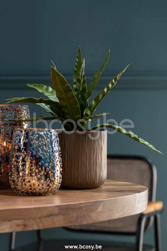 Jline Fotosforo Lise Cristal Marron Oro Medium