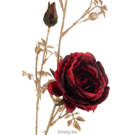 Jline 37555 Bloemen Fleurs Flowers Blumen Flores Fiori DECORATIE Kunst Bloemen Planten Bomen.