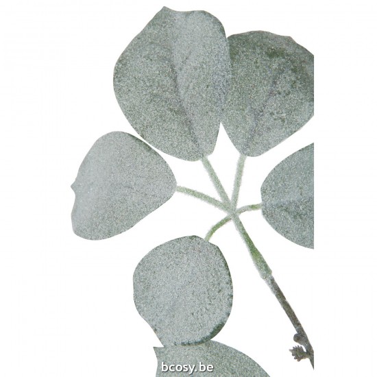 Jline 37585 Bloemen Fleurs Flowers Blumen Flores Fiori DECORATIE Kunst Bloemen Planten Bomen.