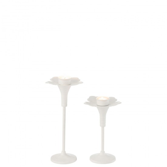 Jline 45973 Kaarshouders Support Bougie Candleholders Kerzenhalter Soporte Vela Portacandela DECORATIE Thee Windlichten Kandel.