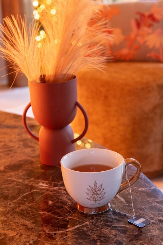 Jline Caja De 2 Tazas Jumbo Hoja Caja Ceramica Marrón Surtido De 2.