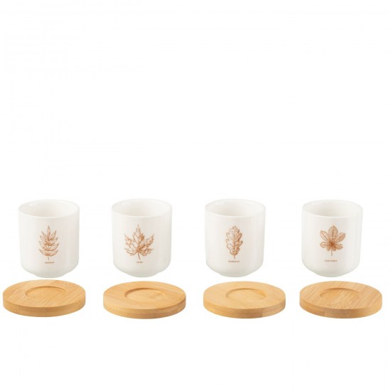 Jline 49232 Servies Services Tableware Geschirr Servicio Servizi DECORATIE Tafelgerei.