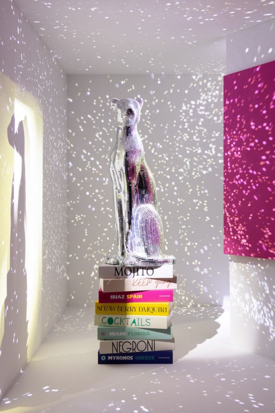 Jline Leopardo Espejo Resine Plata S.