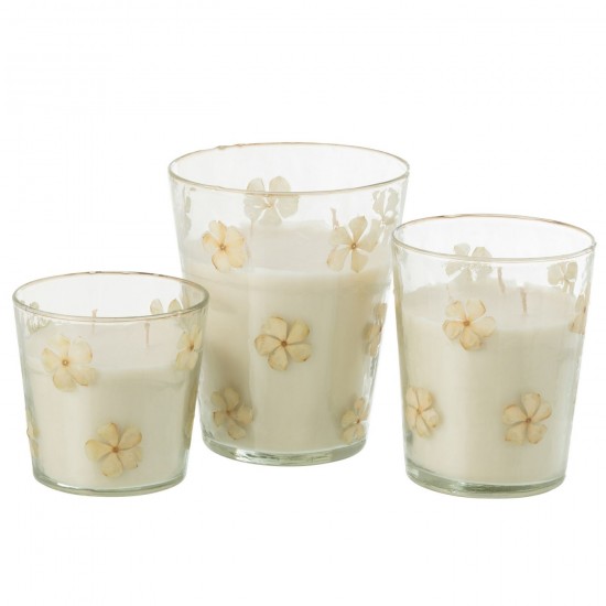 Jline 50550 Geurartikelen Articles Senteurs Scented Articles Duftartikel Artículos Perfumados Articoli Profumati DECORATIE Kaa.