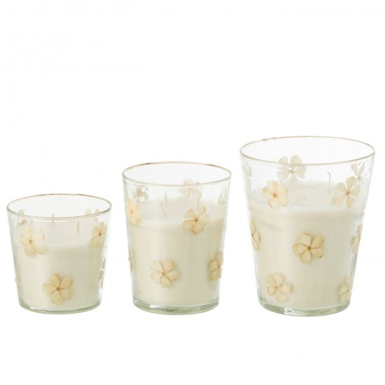 J Line bougies parfumées Jolipa Bougie Parfumee Fleur Verre Transparent Large 75Heures.