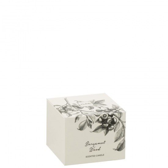 Jline 50615 Geurartikelen Articles Senteurs Scented Articles Duftartikel Artículos Perfumados Articoli Profumati DECORATIE Kaa.