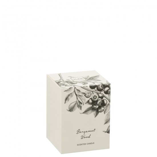 Jline 50616 Geurartikelen Articles Senteurs Scented Articles Duftartikel Artículos Perfumados Articoli Profumati DECORATIE Kaa.