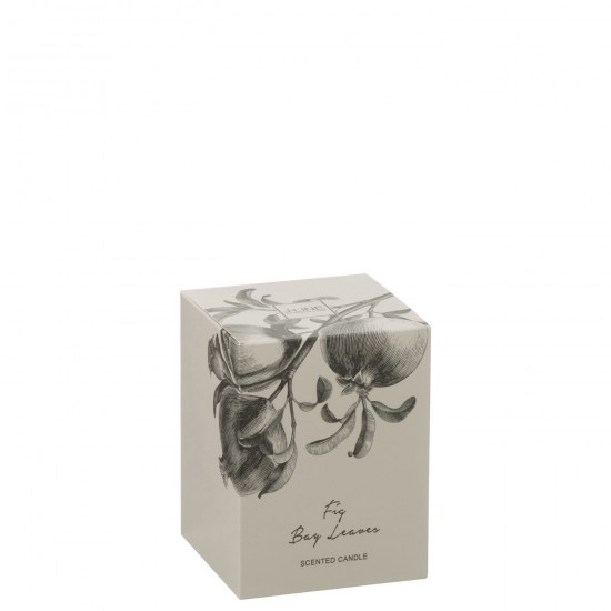 Jline 50619 Geurartikelen Articles Senteurs Scented Articles Duftartikel Artículos Perfumados Articoli Profumati DECORATIE Kaa.