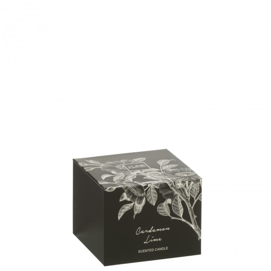 Jline 50621 Geurartikelen Articles Senteurs Scented Articles Duftartikel Artículos Perfumados Articoli Profumati DECORATIE Kaa.