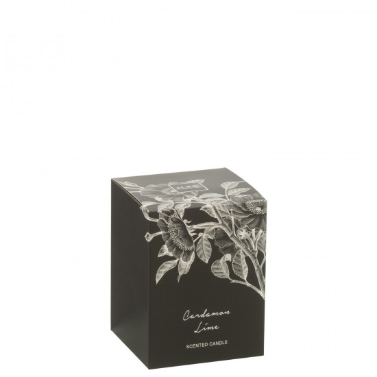 Jline 50622 Geurartikelen Articles Senteurs Scented Articles Duftartikel Artículos Perfumados Articoli Profumati DECORATIE Kaa.