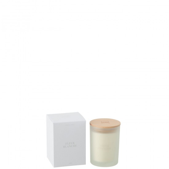 Jline 50685 Geurartikelen Articles Senteurs Scented Articles Duftartikel Artículos Perfumados Articoli Profumati DECORATIE Kaa.