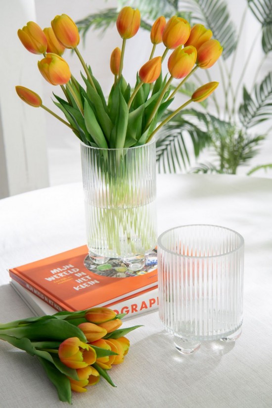 Jline Portavela Clara Vidrio Transparente S.