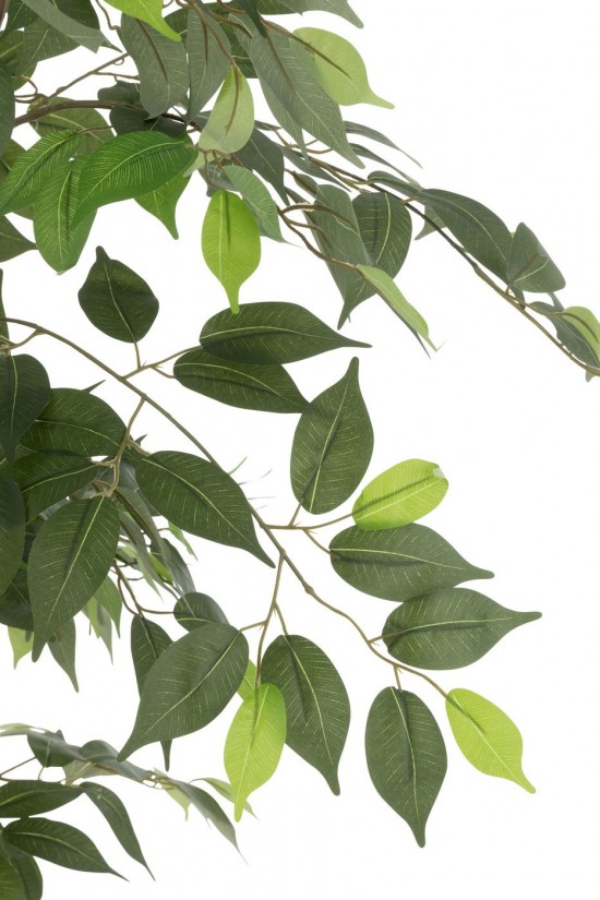 Jline 54368 Bloemen Fleurs Flowers Blumen Flores Fiori DECORATIE Kunst Bloemen Planten Bomen.