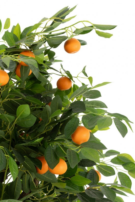 Jline 54370 Bloemen Fleurs Flowers Blumen Flores Fiori DECORATIE Kunst Bloemen Planten Bomen.