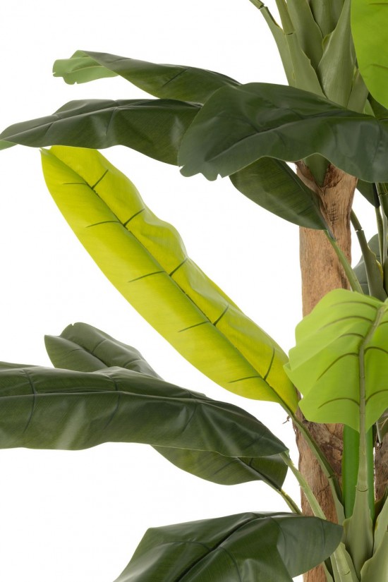 Jline 54371 Bloemen Fleurs Flowers Blumen Flores Fiori DECORATIE Kunst Bloemen Planten Bomen.