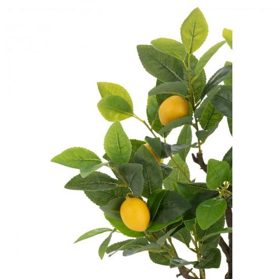 Jline 54712 Bloemen Fleurs Flowers Blumen Flores Fiori DECORATIE Kunst Bloemen Planten Bomen.