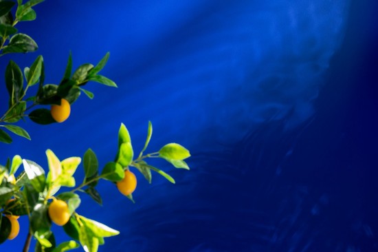 J Line Albero Di Limoni Vaso Artificiale Verde Large Limonero Maceta Artificial Verde L.