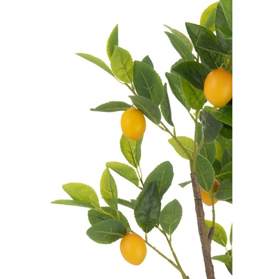 Jline 54713 Bloemen Fleurs Flowers Blumen Flores Fiori DECORATIE Kunst Bloemen Planten Bomen.