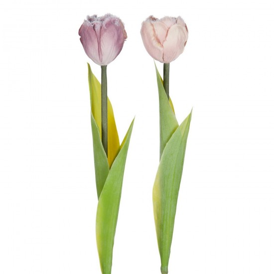 Jline 55344 Figuren Figurines Figurines Figuren Figuritas Sculture DECORATIE Winter Kerst.