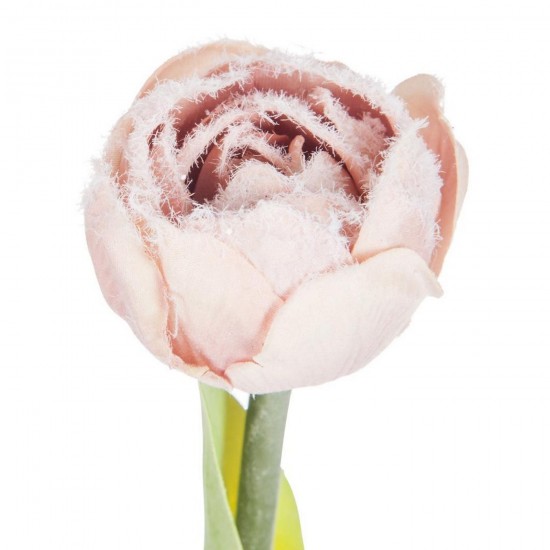 J Line élan Jolipa Élan Luge Polyester Beige.