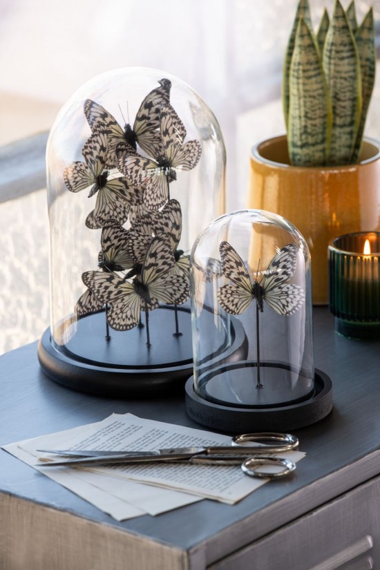 J Line Campana Decorativa Farfalla Vetro Nero Bianco Small Campana Decorativa Mariposa Vidrio Negro Blanco Small.