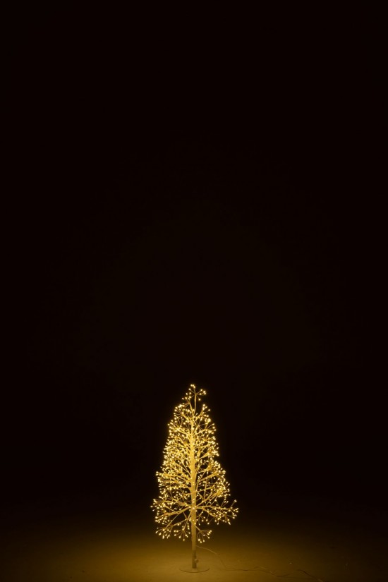 J Line arbres sapins de noel sur pied Jolipa Arbre Led Lumières Blanc Chaud Fer Blanc Small.