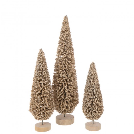 J Line arbres sapins de noel sur pied Jolipa Sapin De Noël Pet Champagne Large.