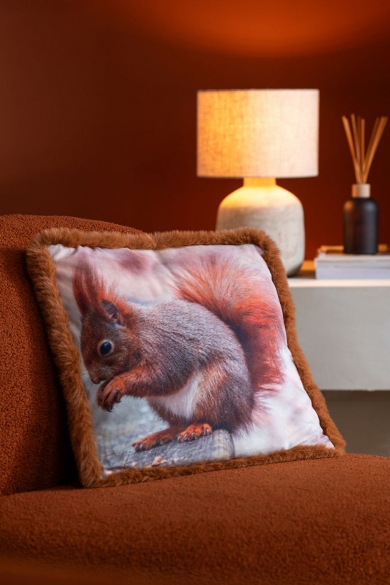 J Line 56750 Oorkussen Coussins coussin Online Kopen Online Dealers Kussentje Online Webshop Online Online Verkauf Online Onli.