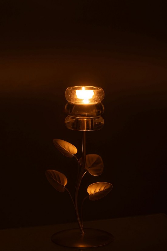 J Line flutes coupes à champagne Jolipa Chandelier Branche Feuille Fer Doré Transparent.