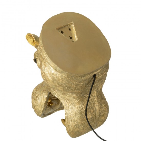 J Line Wall Lamp Hippopotamus Head Resin Gold Colored Lamps Wall Lamps Lights Indoor Lighting.