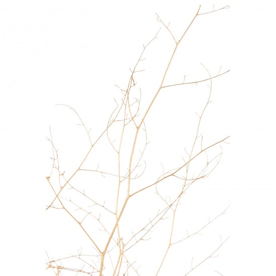 Jline 59310 Bloemen Fleurs Flowers Blumen Flores Fiori DECORATIE Kunst Bloemen Planten Bomen.