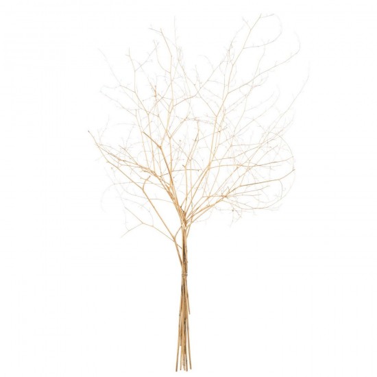 J Line Tak Droogbloem Goudkleurig L40xB10xH50 cm droogbloemen JO59310.