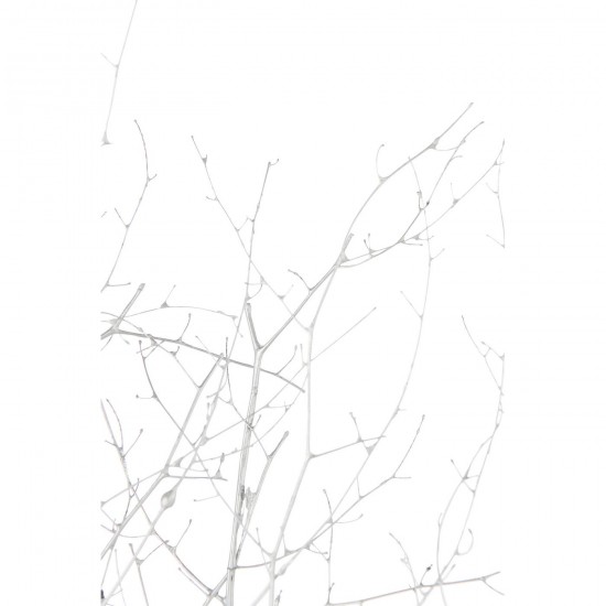 Jline 59319 Bloemen Fleurs Flowers Blumen Flores Fiori DECORATIE Kunst Bloemen Planten Bomen.